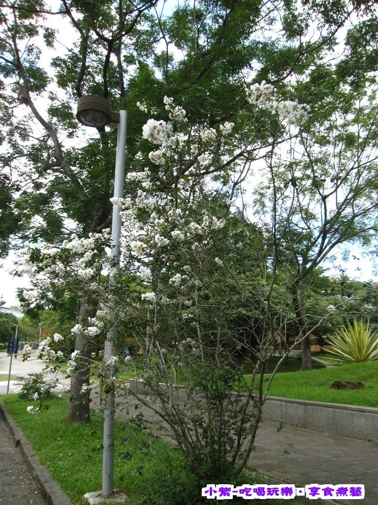 2015.6暨大校園 (1).jpg