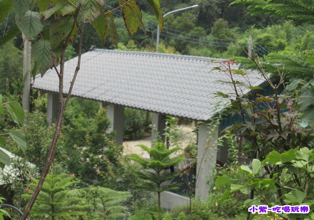 下層花園雨棚區.jpg 下層花園雨棚區.jpg
