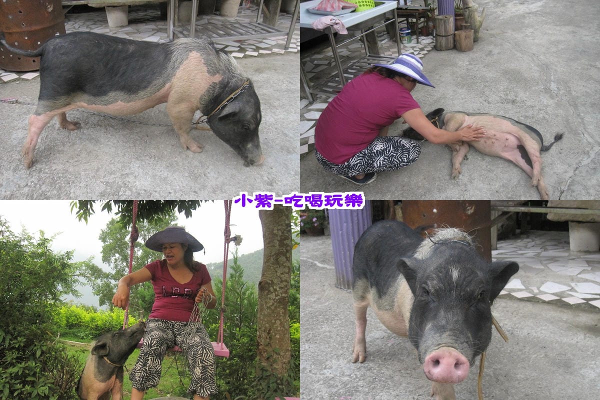 女主人-玫瑰姐&阿珠珠.jpg 女主人-玫瑰姐&阿珠珠.jpg