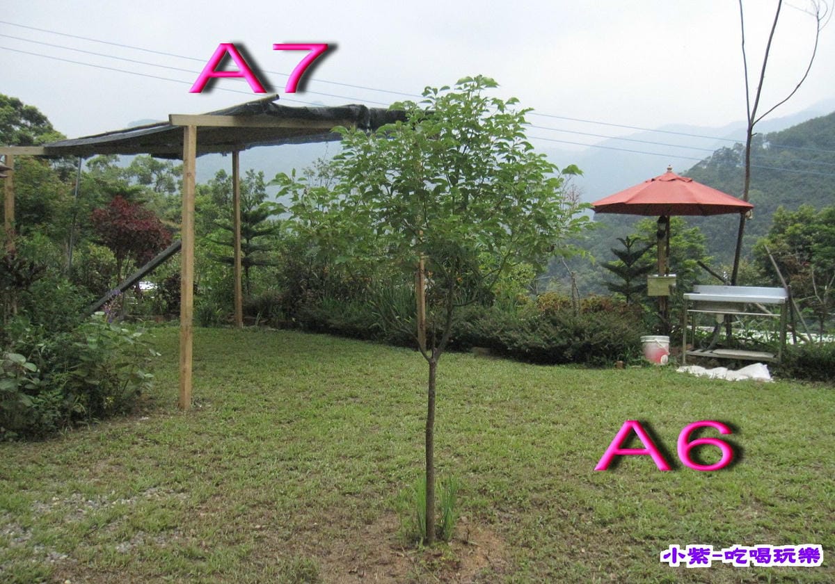 A6A7.jpg A6A7.jpg