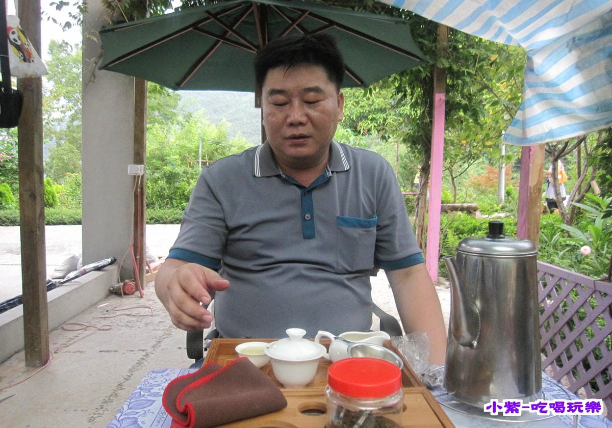 泡茶.jpg 泡茶.jpg