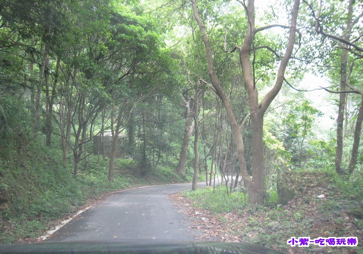 快到營地路2.jpg 快到營地路2.jpg