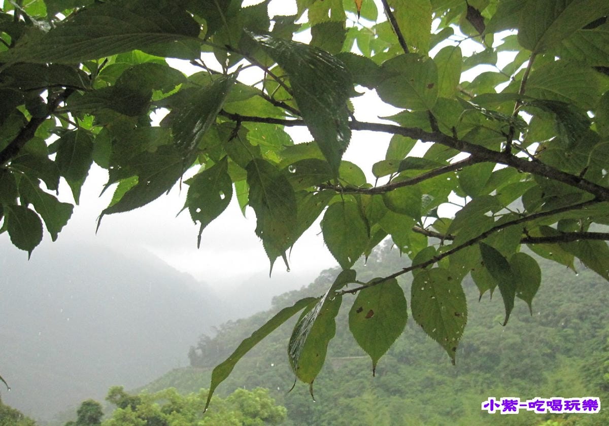 下雨.jpg 下雨.jpg
