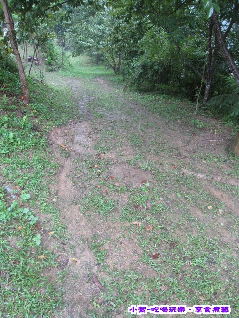 往D層的路泥濘 (1).jpg 往D層的路泥濘 (1).jpg