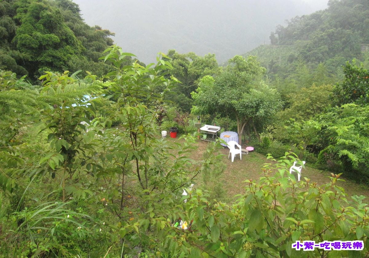 D區-迷你花園區 (1).jpg D區-迷你花園區 (1).jpg