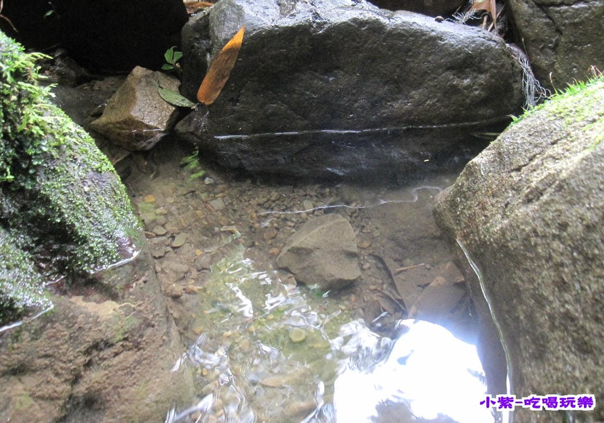 小溪戲水 (4).jpg 小溪戲水 (4).jpg