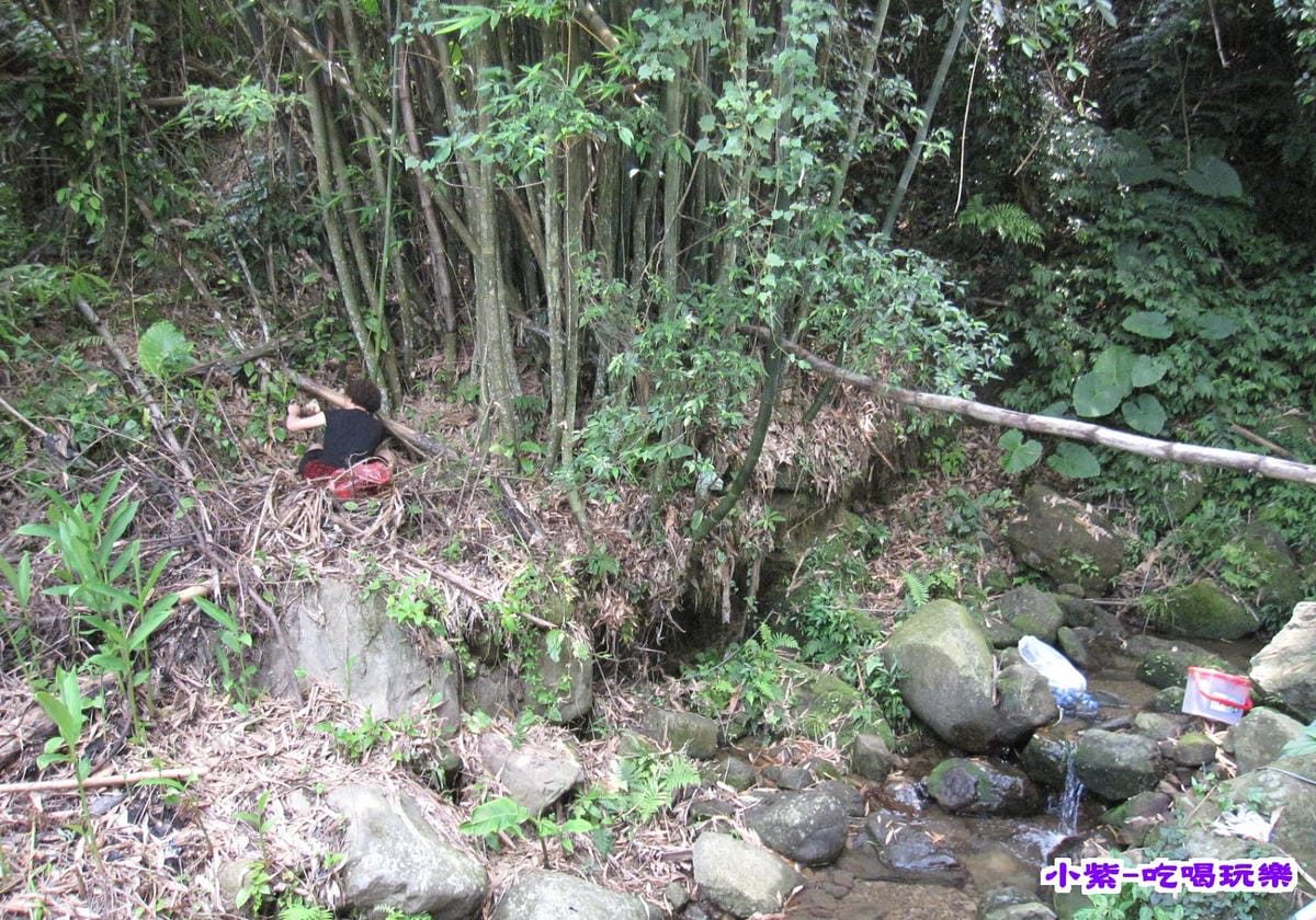 挖竹筍 (1).jpg 挖竹筍 (1).jpg