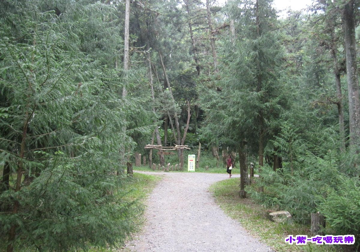 惠蓀林場 (1).jpg 惠蓀林場 (1).jpg