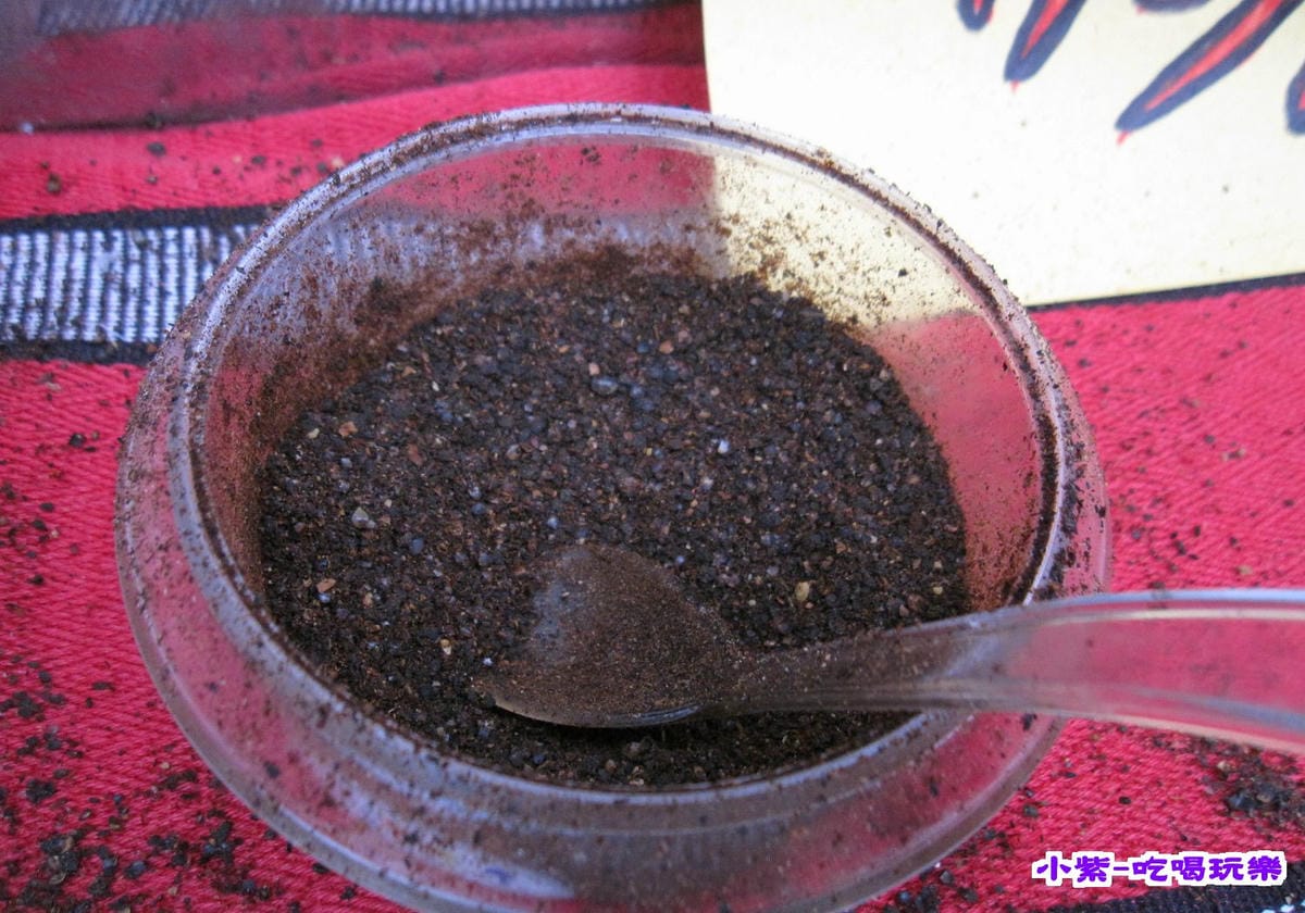 馬告粉.jpg 馬告粉.jpg