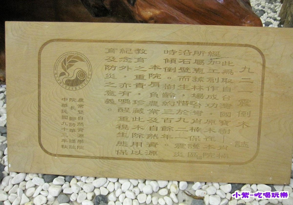 921震倒木 (1).jpg 921震倒木 (1).jpg