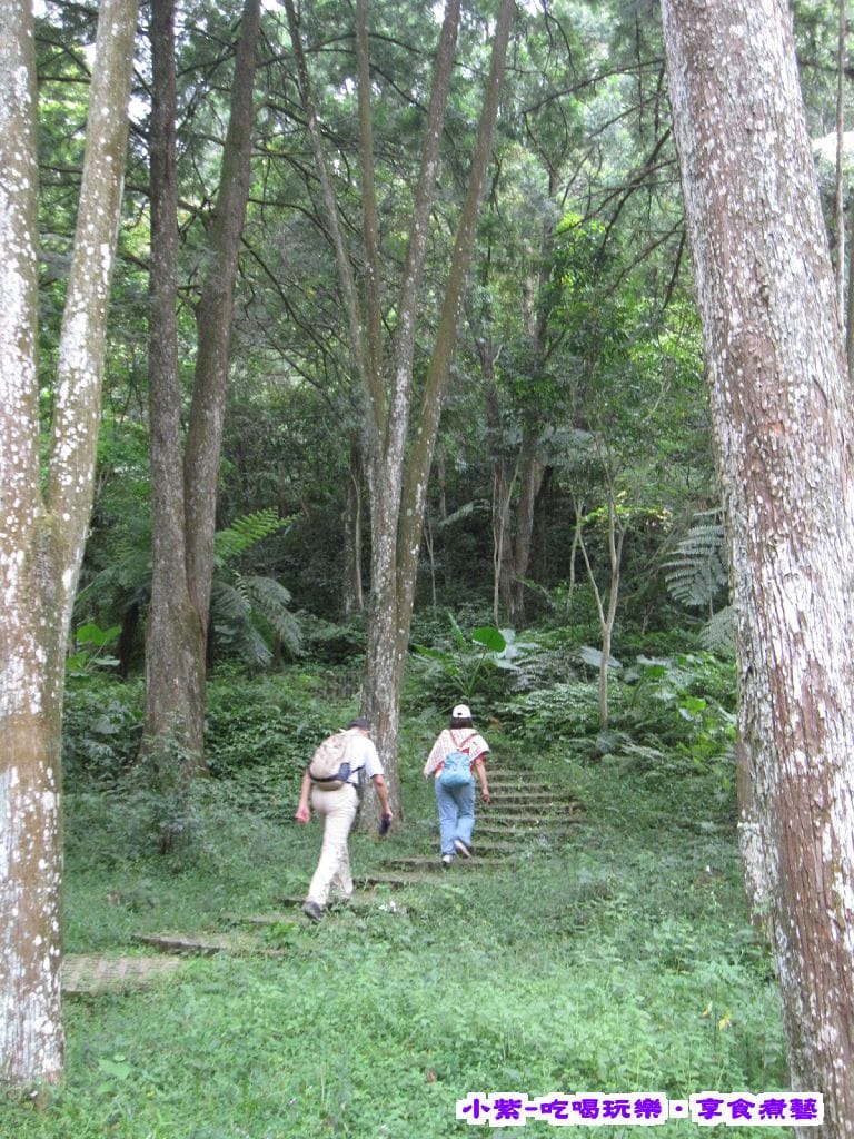 登山步道.jpg 登山步道.jpg