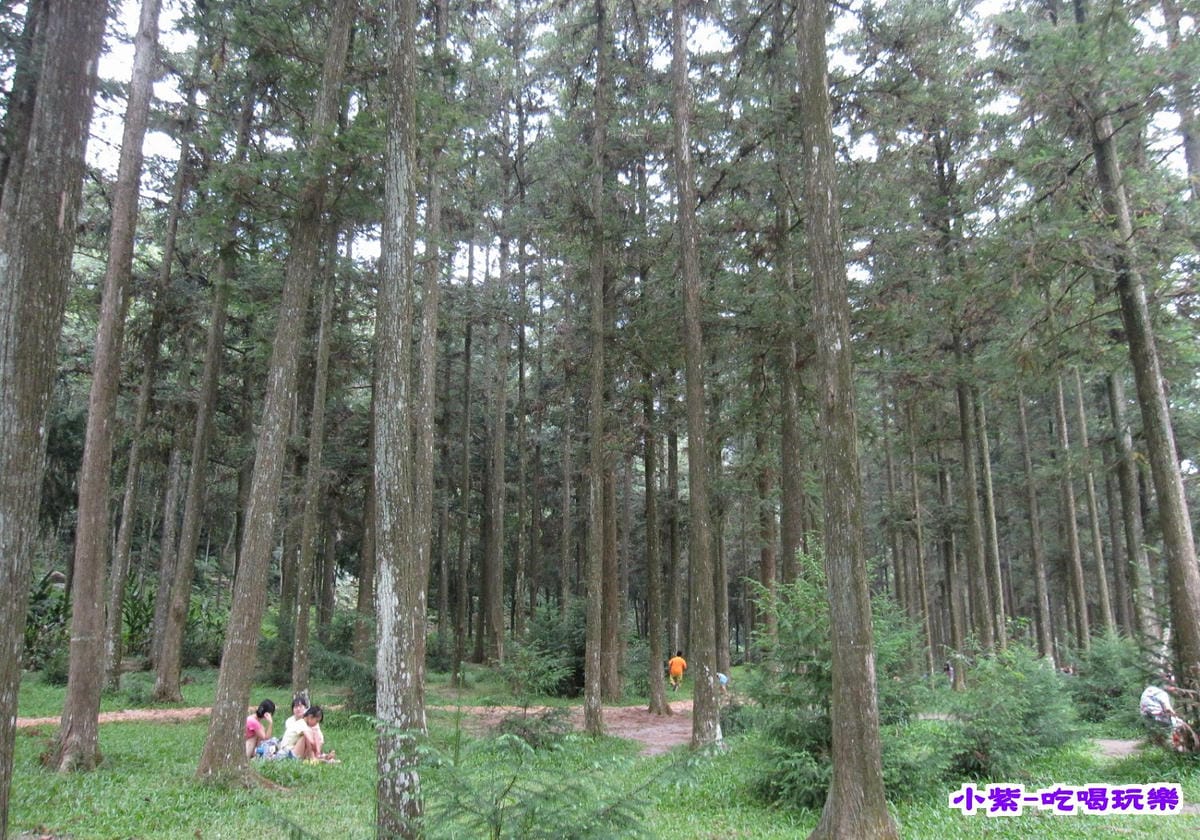 惠蓀林場 (5).jpg 惠蓀林場 (5).jpg