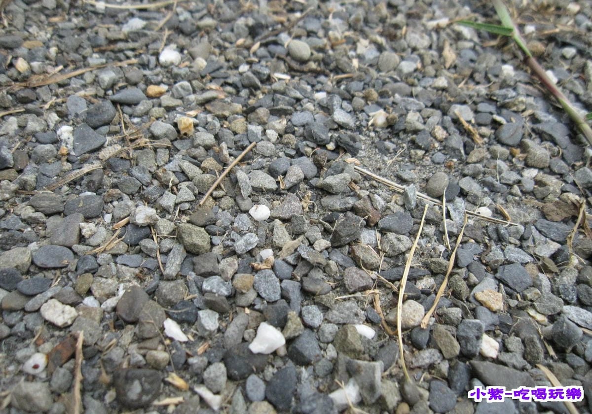 小碎石+草兒營位 (2).jpg