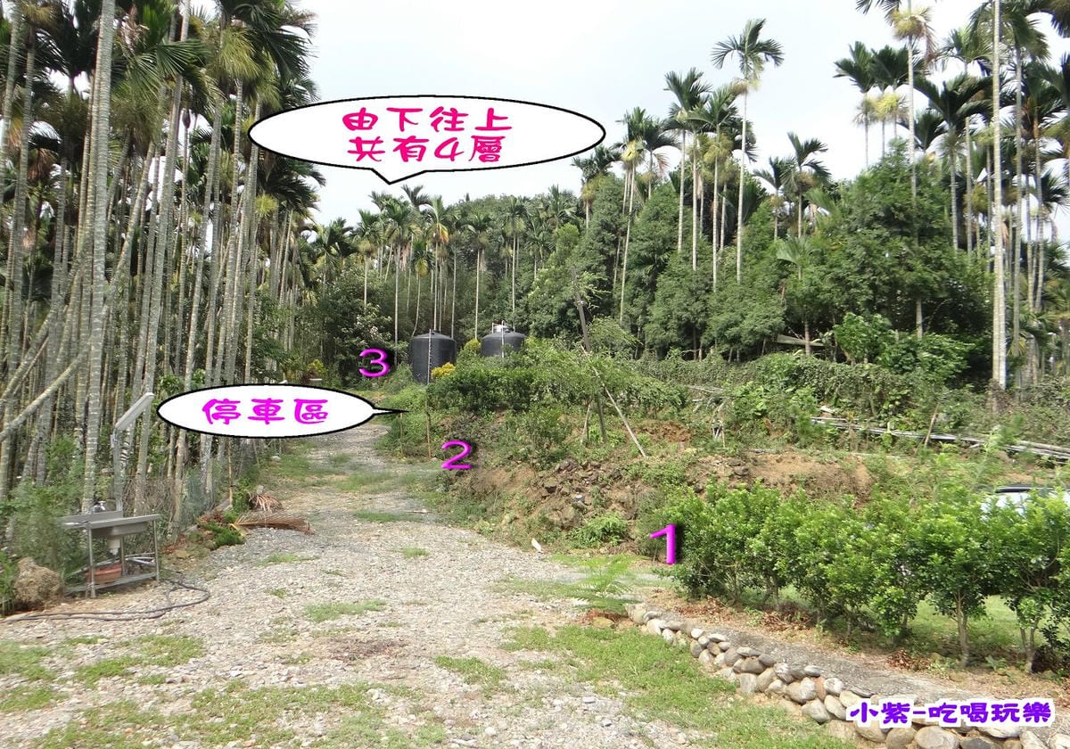 獨立草皮區.jpg