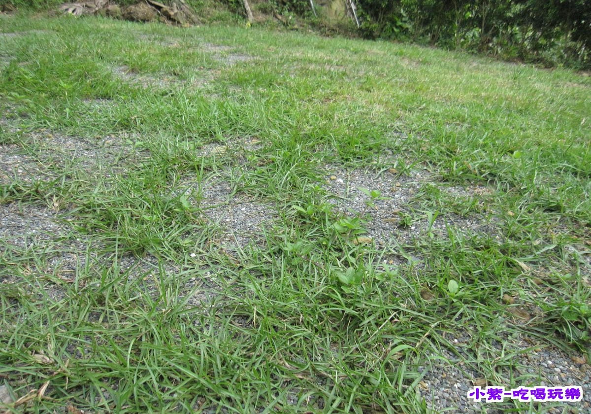 小碎石+草兒營位 (1).jpg