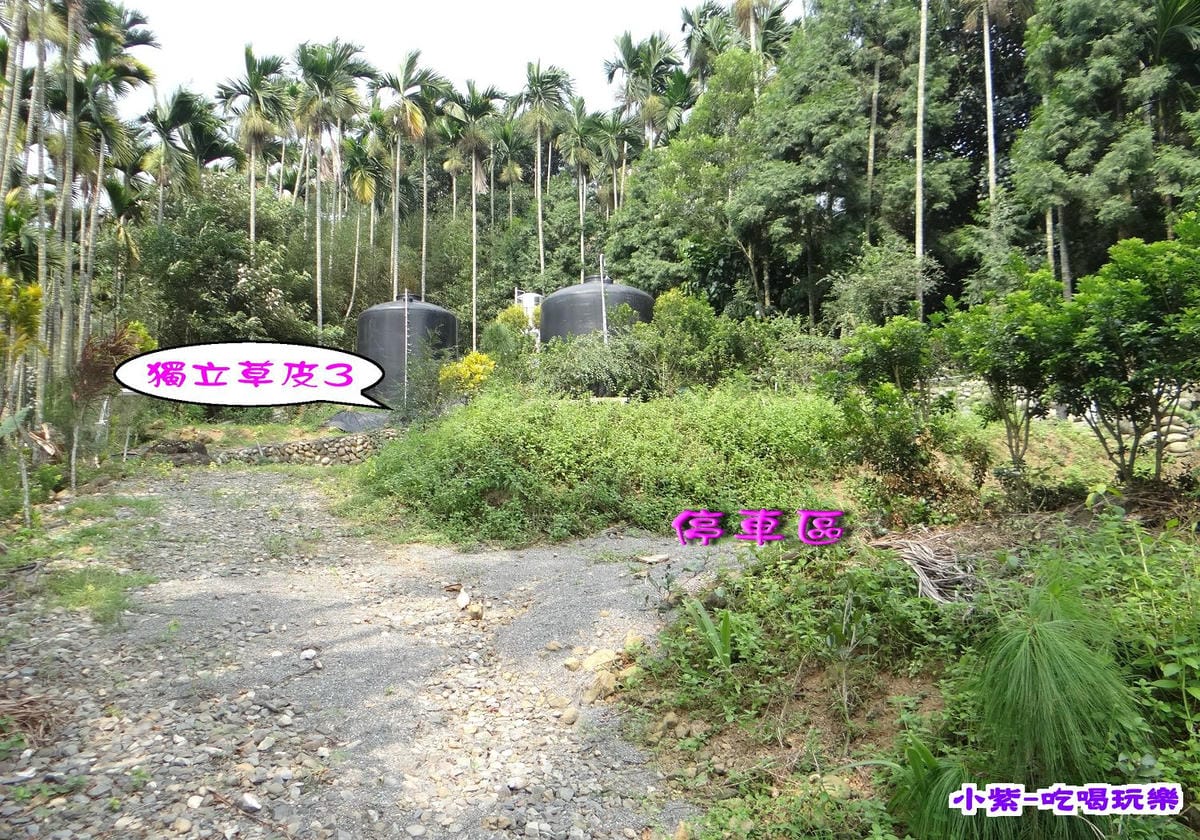 獨立草皮3.jpg