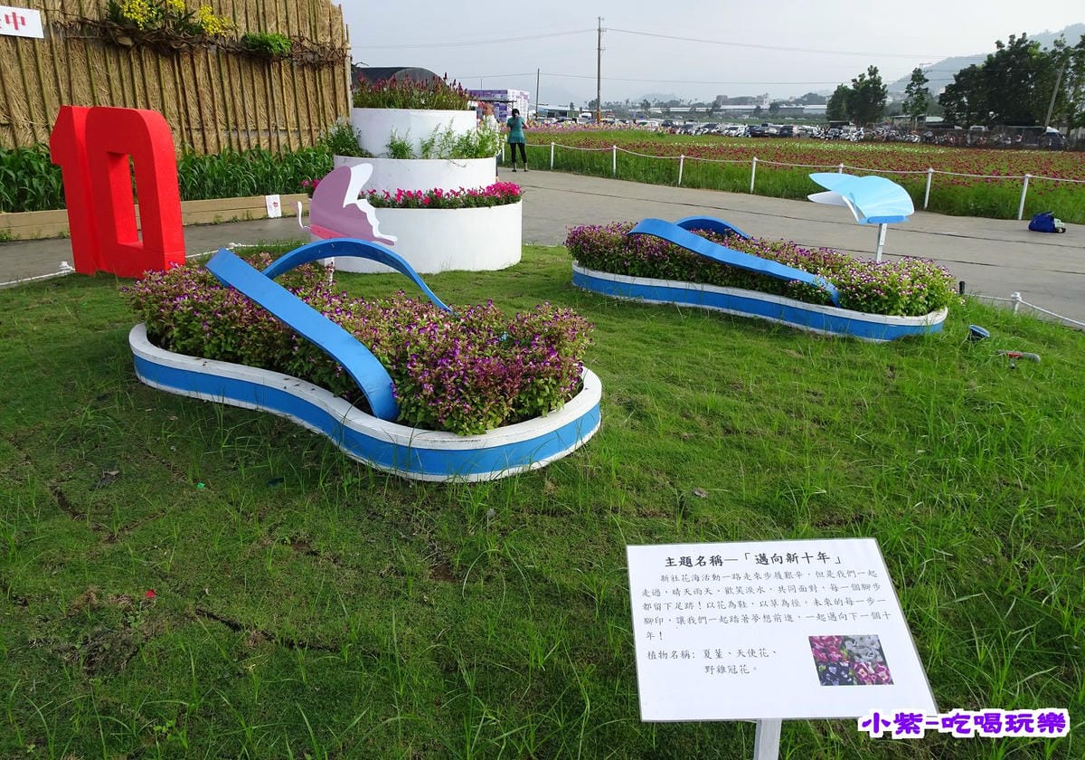 DSC00554.jpg