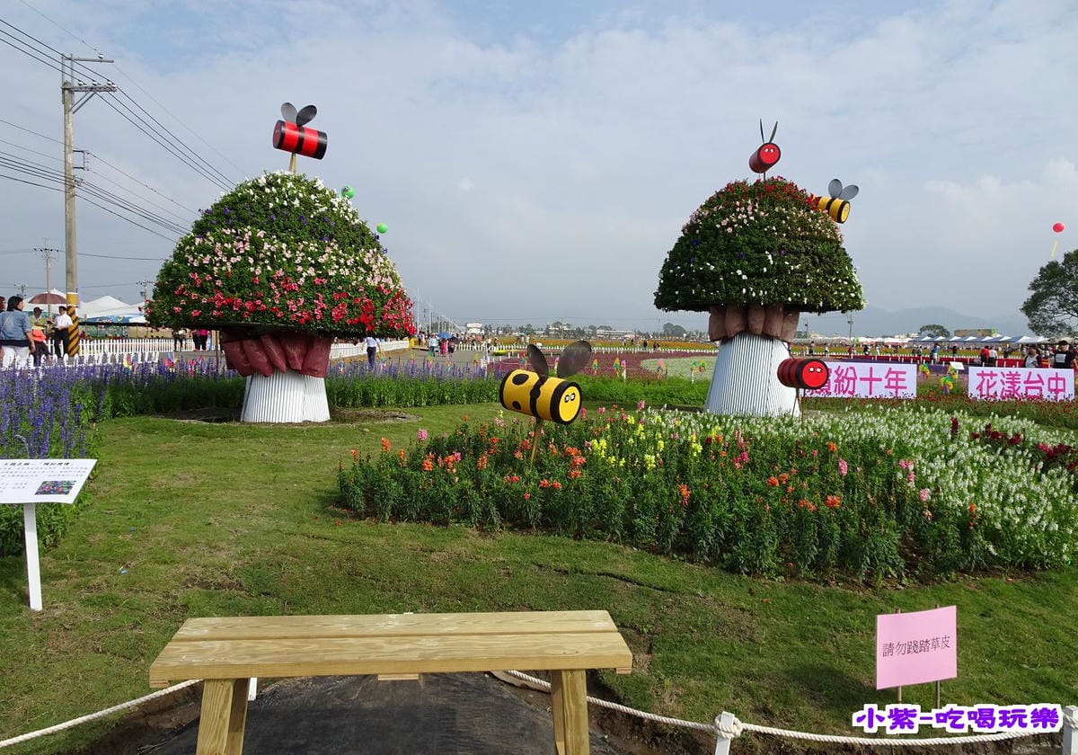 DSC00487.jpg