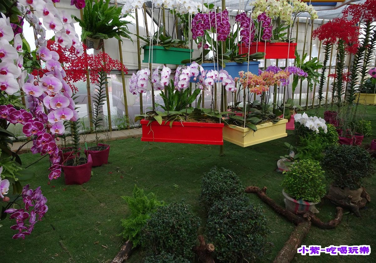 DSC00550.jpg