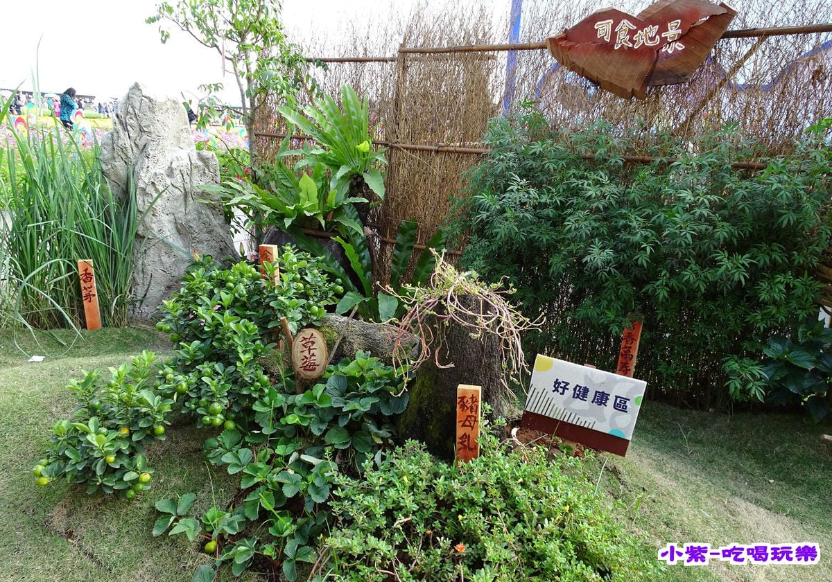 DSC00518.jpg