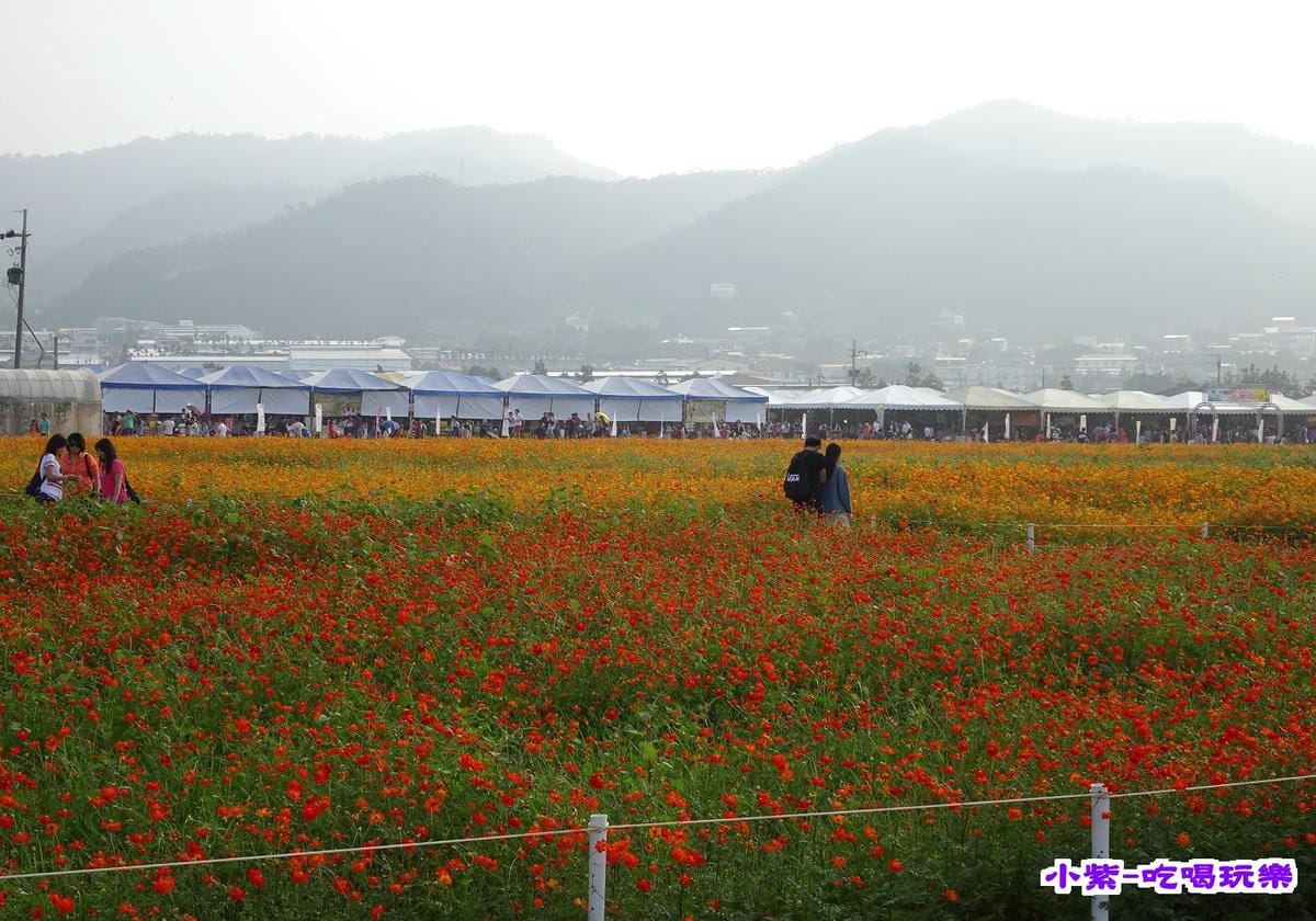DSC00600.jpg
