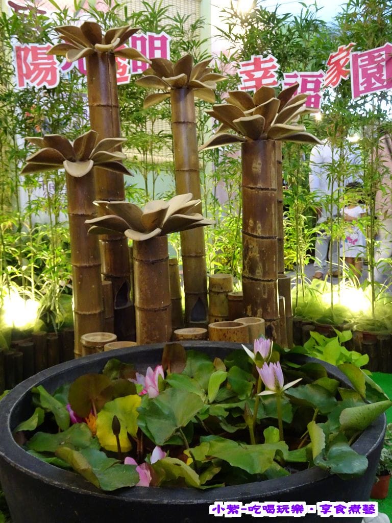 DSC00587.jpg