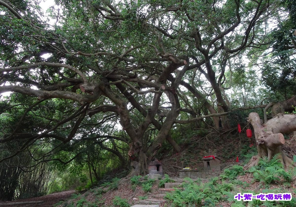 百年土地公 (2).jpg 百年土地公 (2).jpg