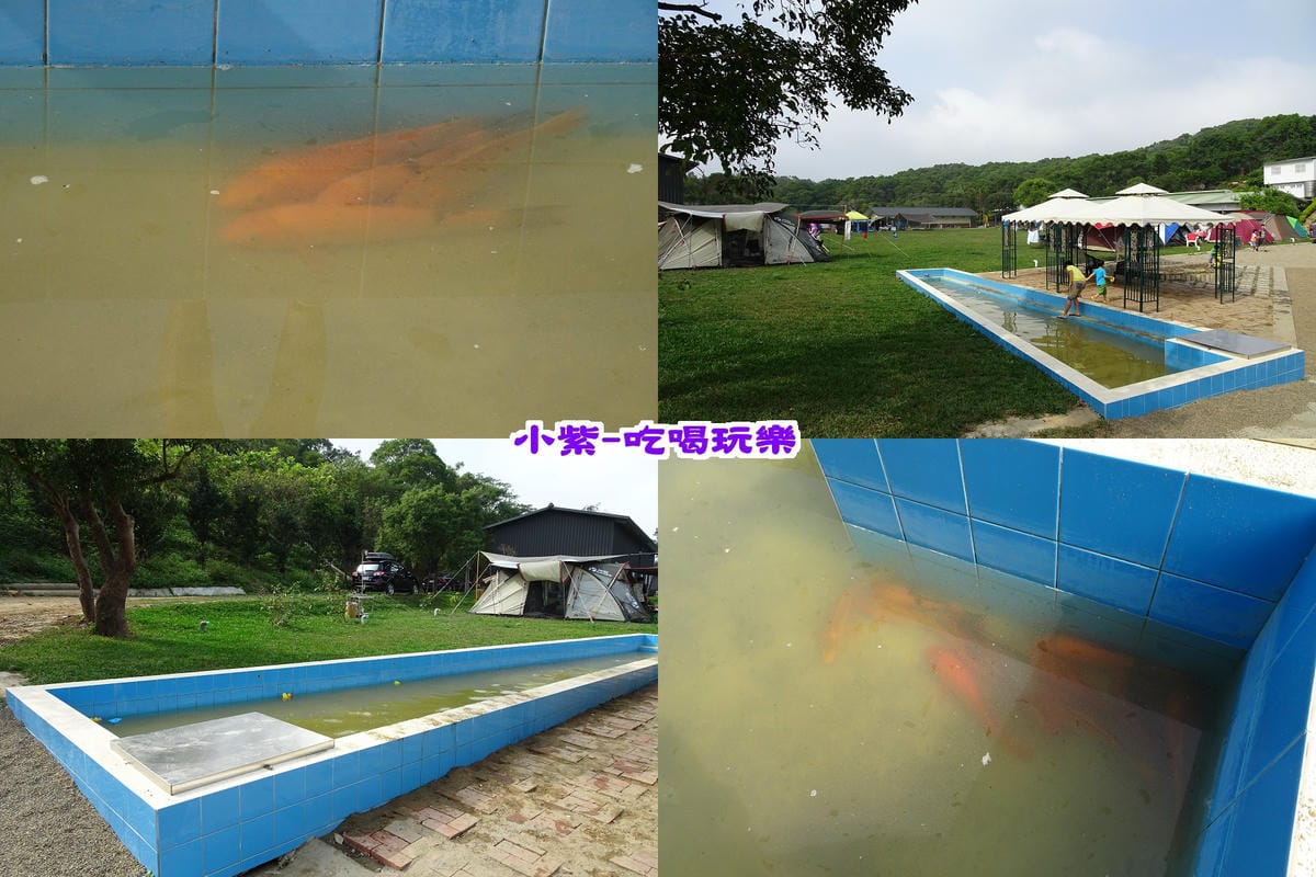 摸魚池.jpg 摸魚池.jpg