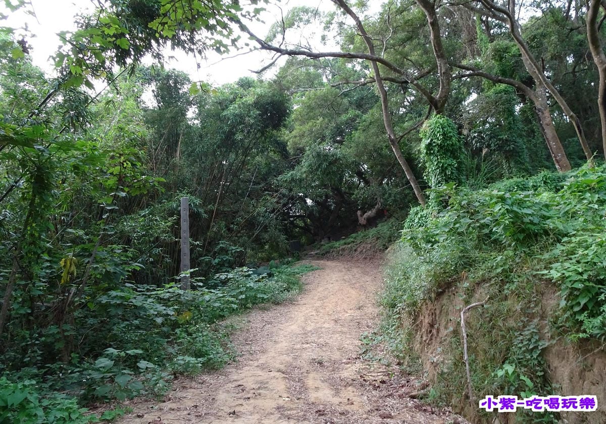往土地公3.jpg 往土地公3.jpg