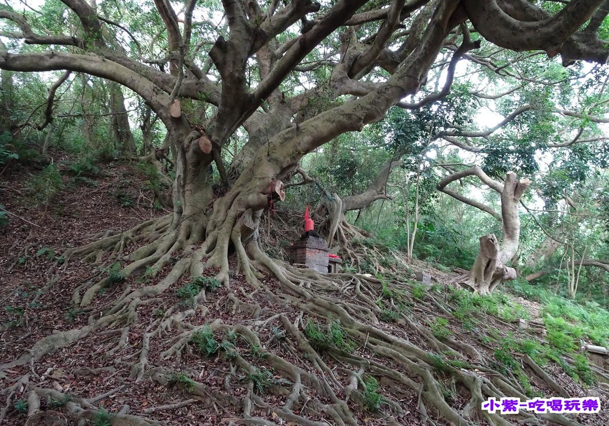 百年土地公 (3).jpg 百年土地公 (3).jpg