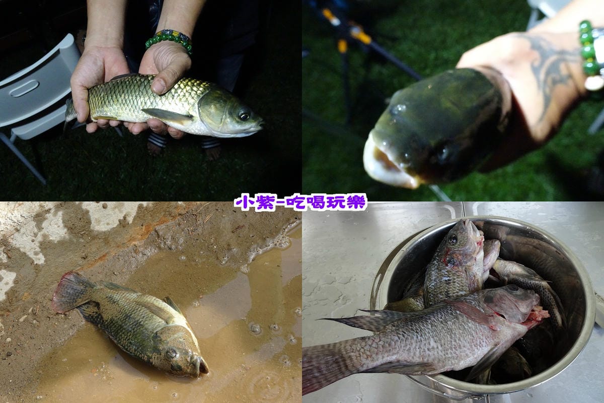 魚獲.jpg 魚獲.jpg