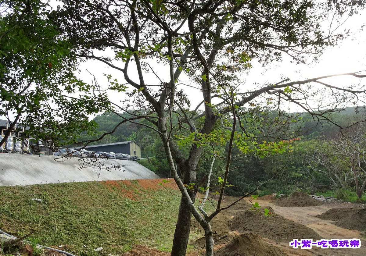 C區 建設中.jpg