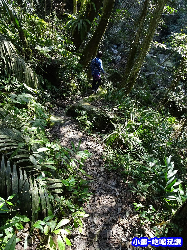 DSC06343P04.jpg