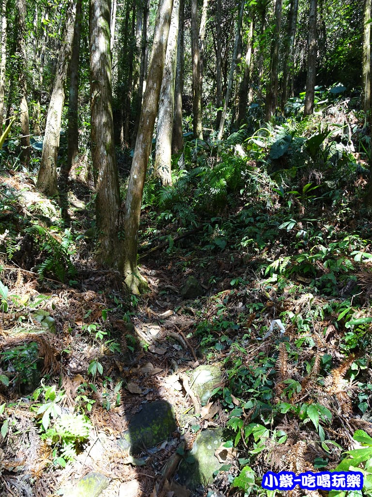 DSC06390P10.jpg
