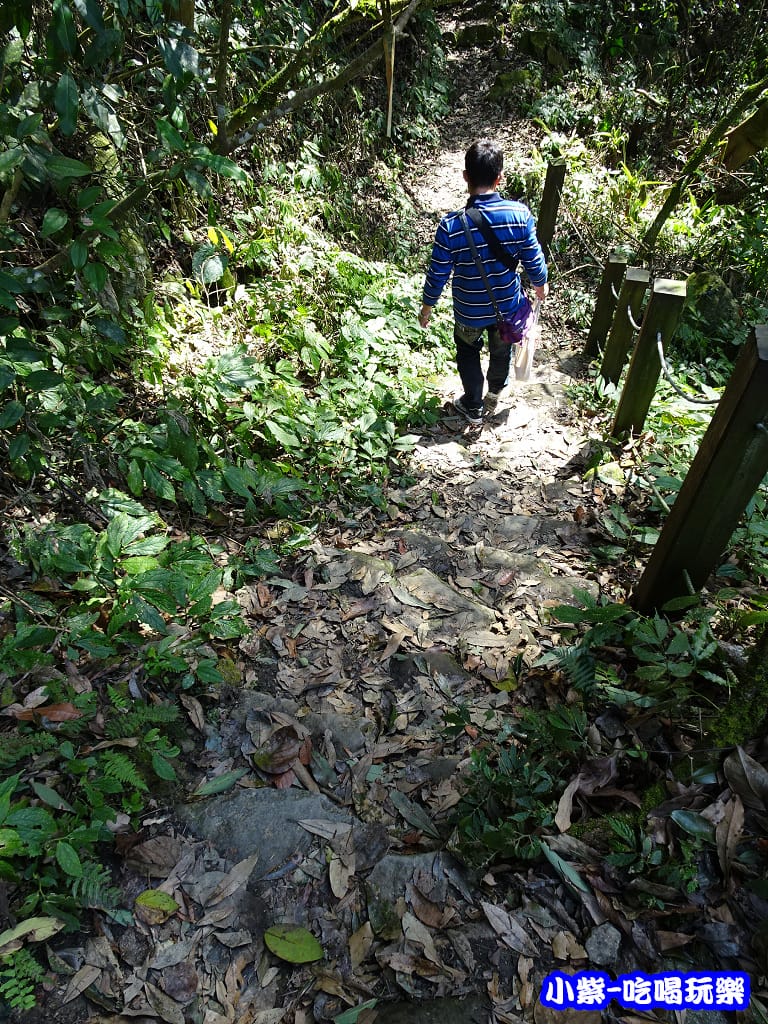 DSC06347P05.jpg