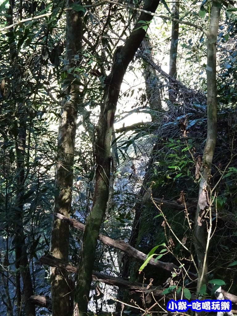 DSC06381P08.jpg