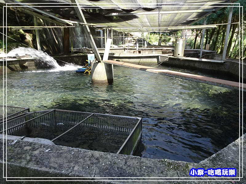 鴛鴦谷養殖農場 (12)P49.jpg