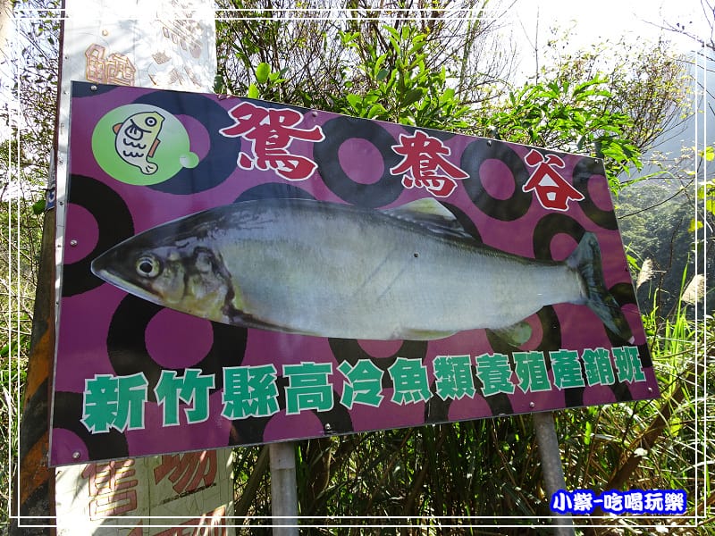 DSC06313P03.jpg
