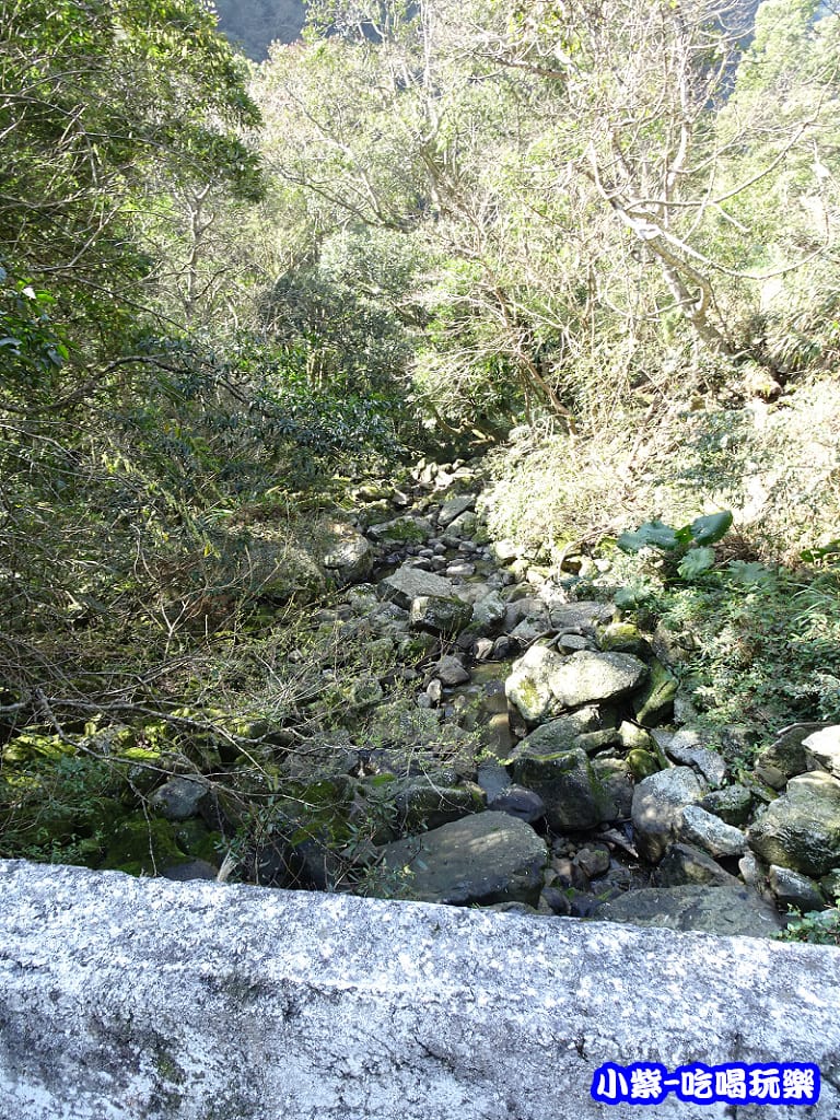 DSC06337P01.jpg