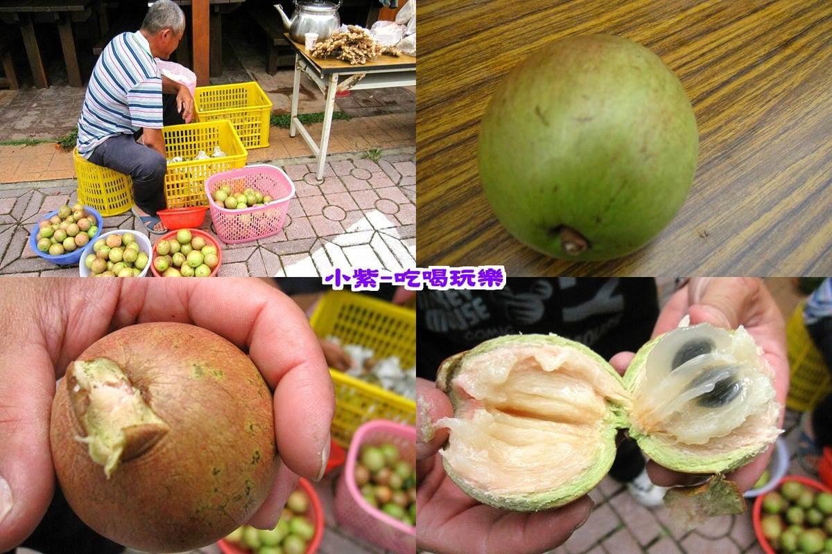 牛奶果.jpg 牛奶果.jpg