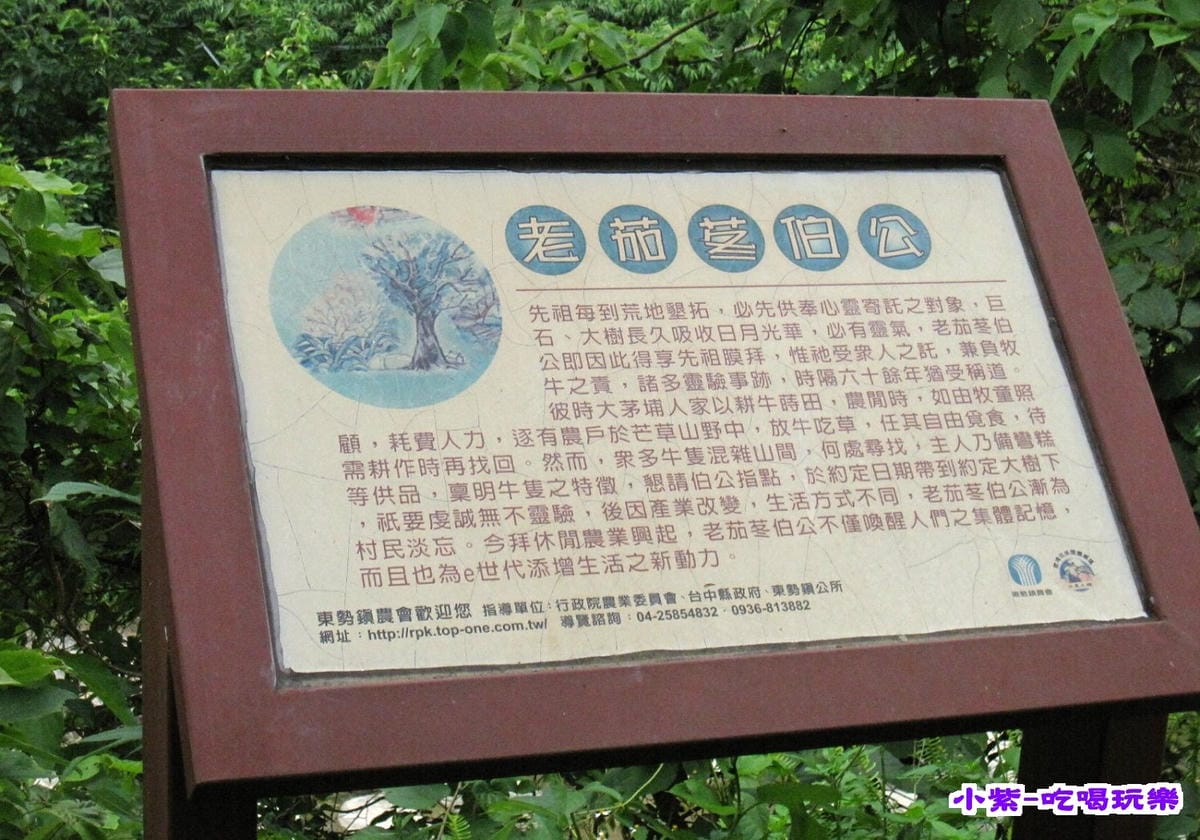 老茄冬伯公.jpg 老茄冬伯公.jpg