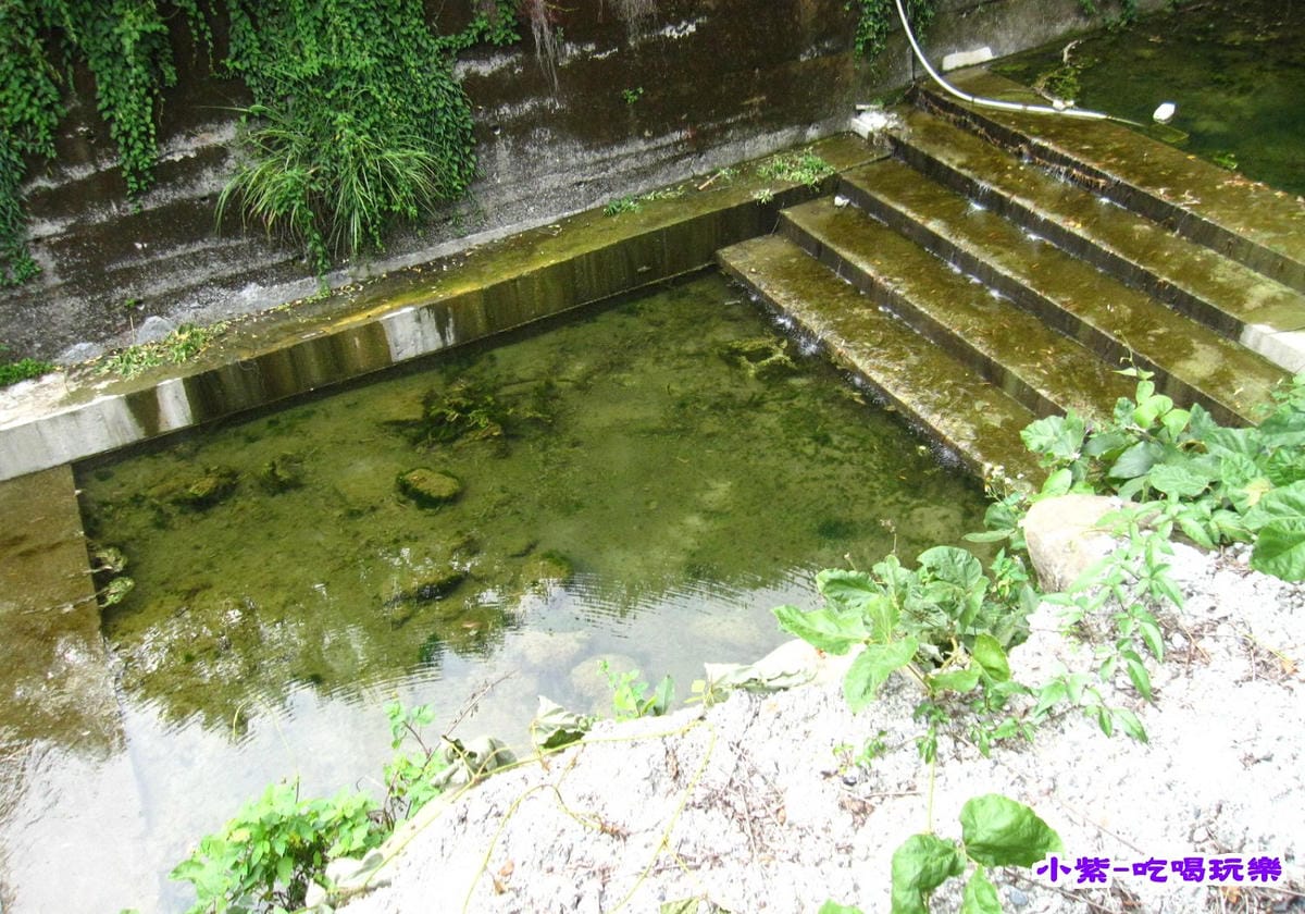 營地旁溪水.jpg 營地旁溪水.jpg
