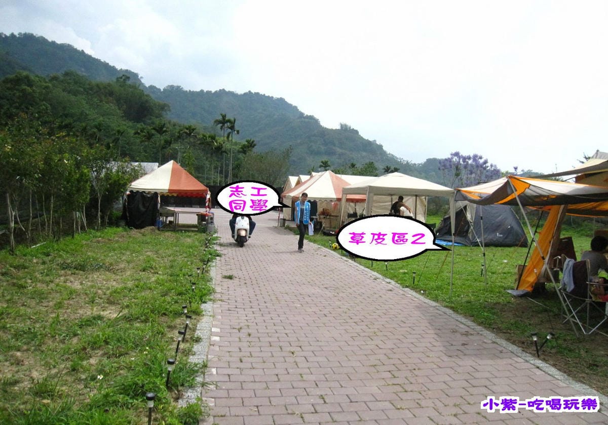 草皮2 (2).jpg 草皮2 (2).jpg