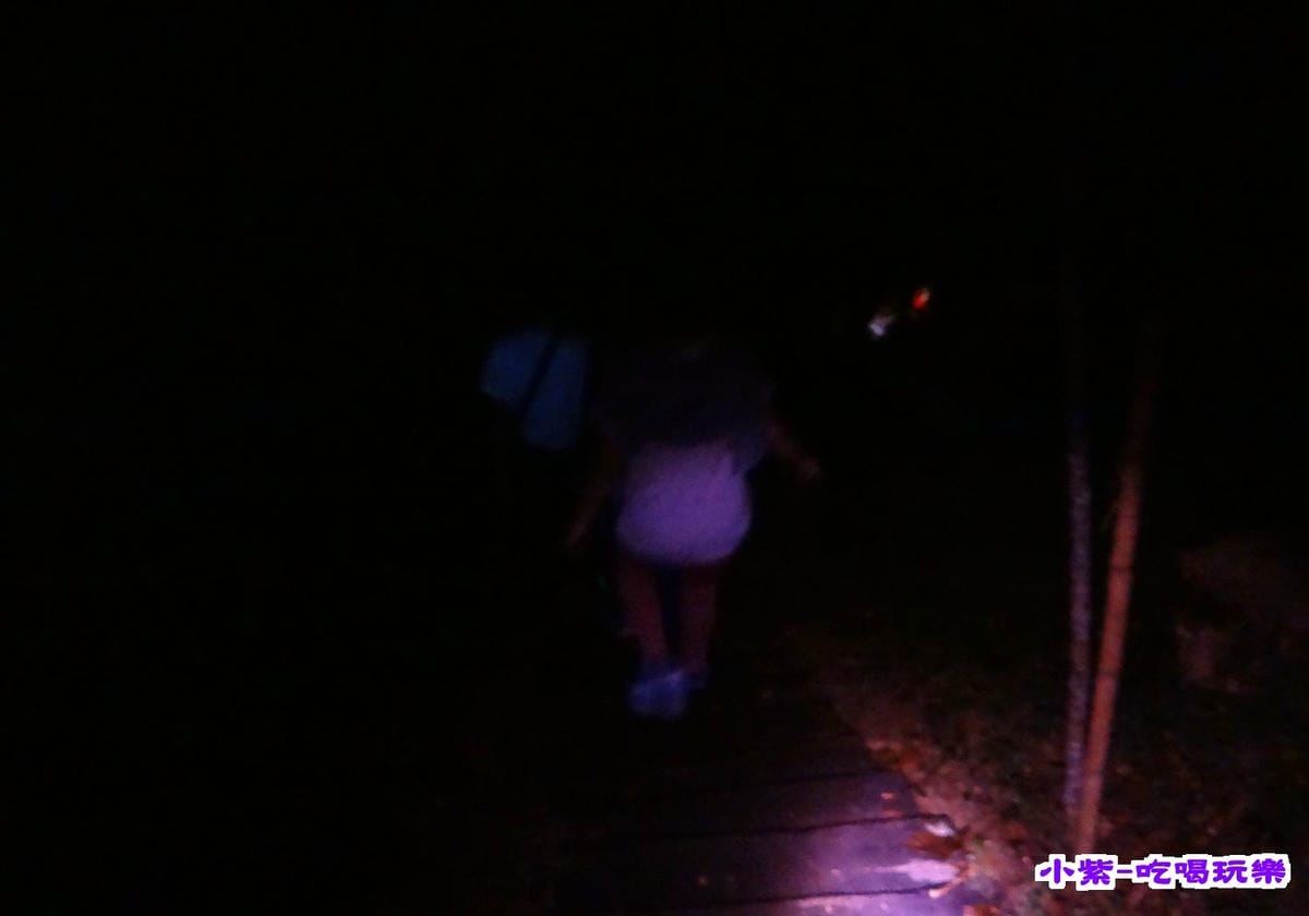 賞螢火蟲 (5).jpg 賞螢火蟲 (5).jpg