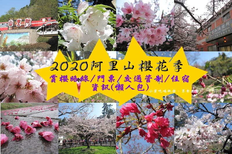 2020阿里山櫻花季懶人包.jpg 2020阿里山櫻花季懶人包.jpg