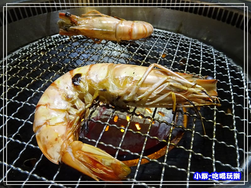 大草蝦 (7).jpg 大草蝦 (7).jpg