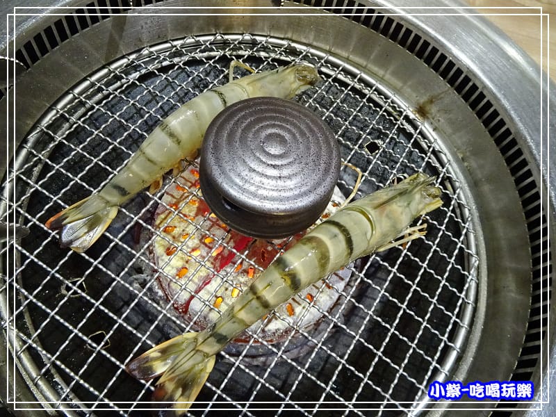 大草蝦 (5).jpg 大草蝦 (5).jpg