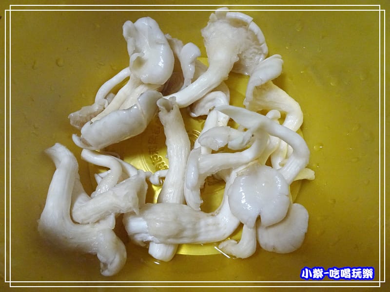 藍寶石菇 (1)9.jpg