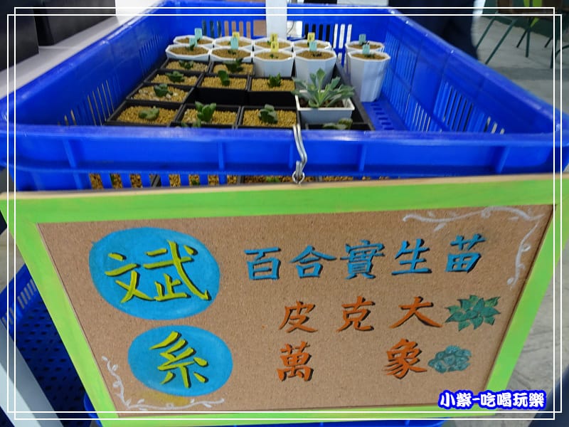 桃園假日農業創意市集 (24)16.jpg