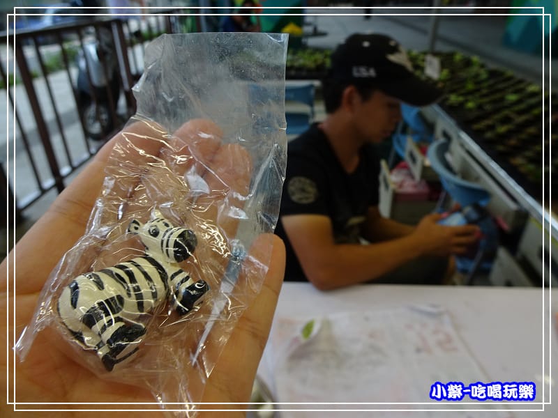 桃園假日農業創意市集 (38)29.jpg